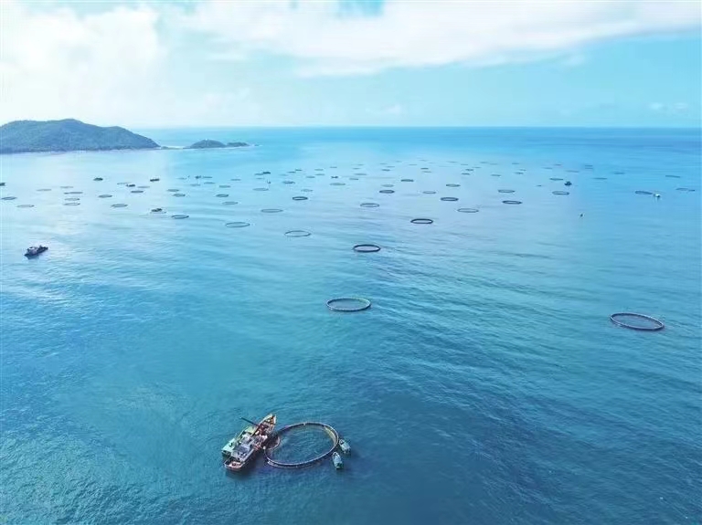 再攀新高！三亞農(nóng)投海洋產(chǎn)業(yè)有限公司成功入選